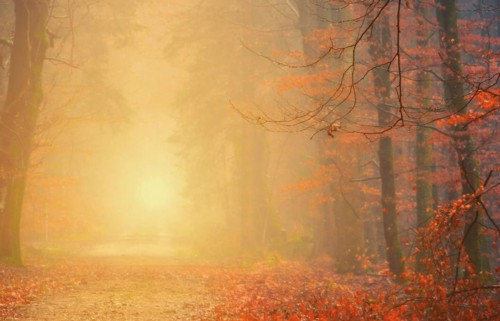 WW2503 HerfstDoetDenken