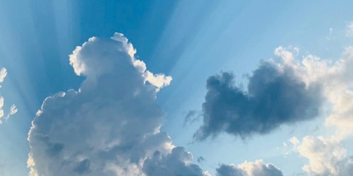 WW2503 StraftGodOnmiddellijk